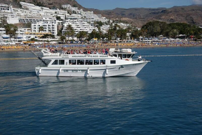 Gran Canaria: Dolphin and Whale Watching Cruise - Who Will Enjoy This Tour?