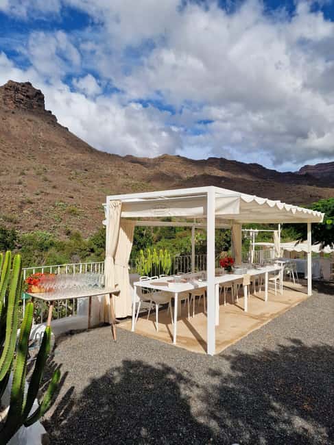 Gran Canaria: Exclusive Wine Tasting with Food Pairing - Why This Tour Stands Out Among Similar Experiences