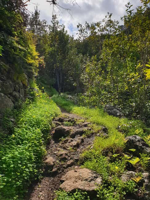 Gran Canaria: excursion to the Laurisilva Forest - Exploring the Virgin Valley and Zumacal Gorge