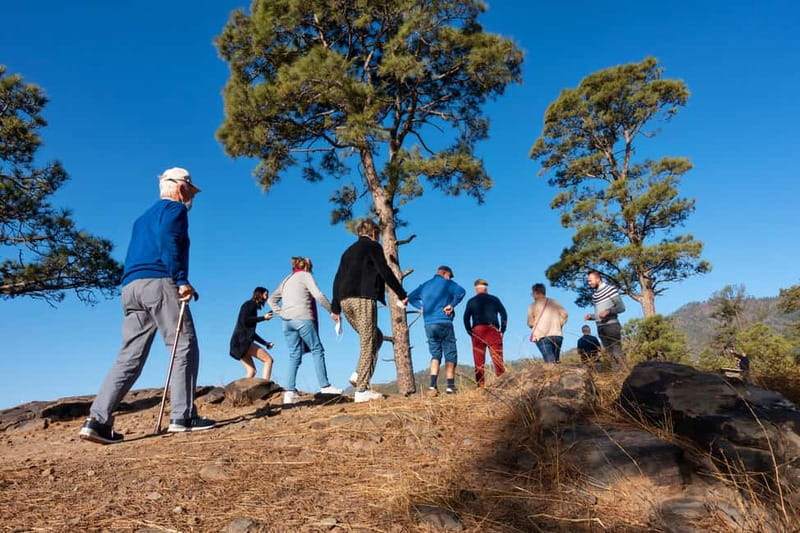 Gran Canaria: Full Coast Tour with Local Guide - Relaxation at Playa de San Felipe