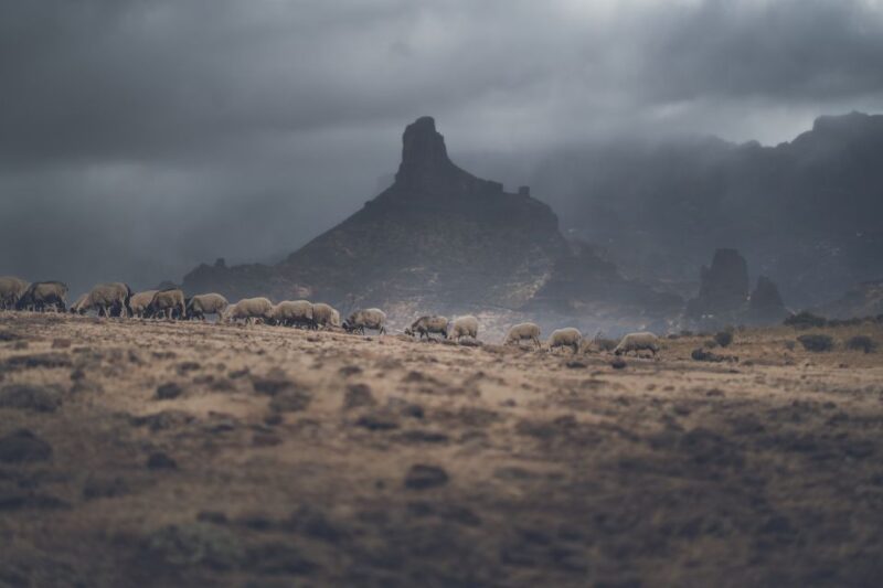 Gran Canaria: Full-Day Customizable Private Photography Tour - Visit Caves and Tropical Forests in a Single Day