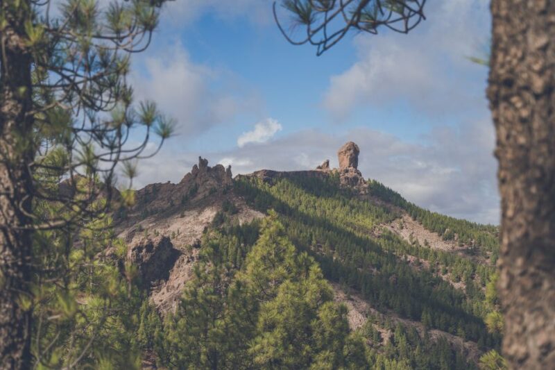 Gran Canaria: Full-Day Customizable Private Photography Tour - Who Would Enjoy This Tour Most?