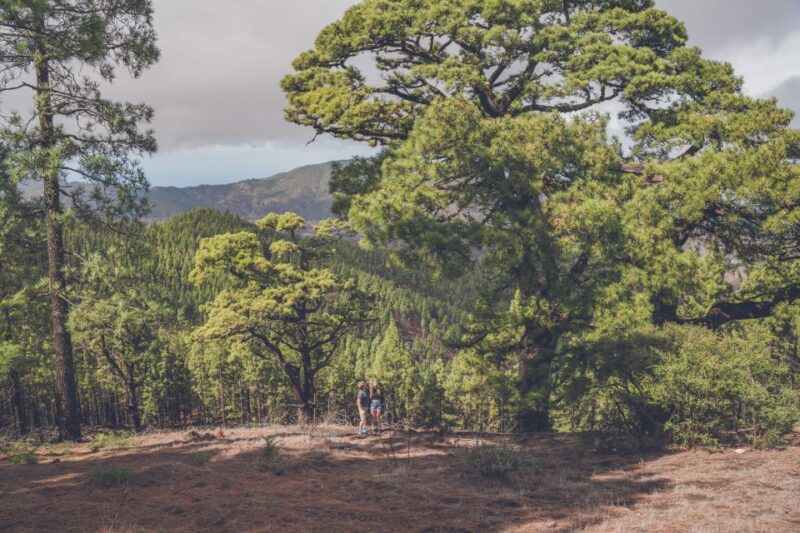 Gran Canaria: Full-Day Customizable Private Photography Tour - The Sum Up: An Exclusive, Personal Exploration of Gran Canaria