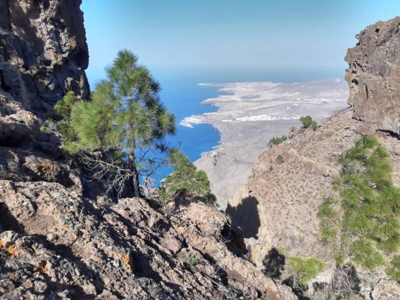Gran Canaria: Full-Day Guided Hiking With Snacks - Logistics: Pickup, Transport, and Group Size