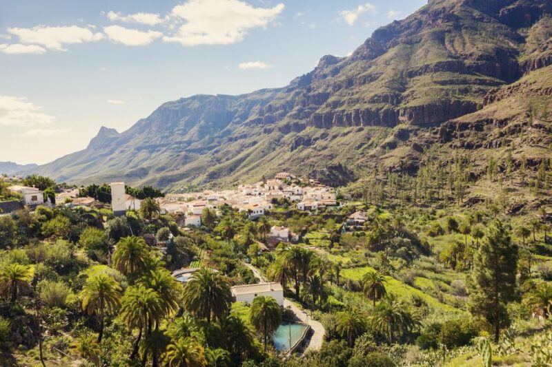 Gran Canaria: Full-Day VIP Tour by Bus - Mountaintop Views from Roque Nublo and the Surrounding Forests