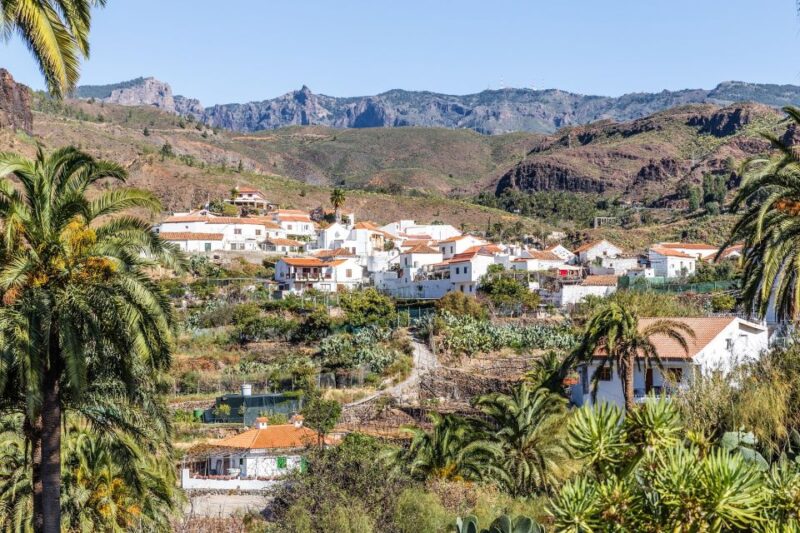 Gran Canaria: Full-Day VIP Tour by Bus - Scenic Drives Through Forests, Canyons, and Volcanic Landscapes