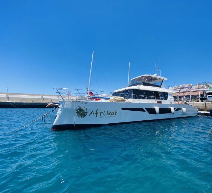 Gran Canaria: Fun Catamaran Cruise with Food and Drinks - Accessibility and Family-Friendliness