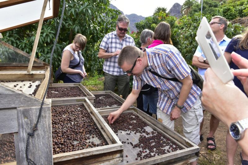 Gran Canaria: Grand Island Tour by Bus with Transfers - Discover the Full Scope of Gran Canaria in One Day