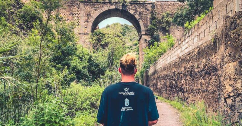 Gran Canaria: Guided Day Tour to Rainforest with Tasting - Visit to Ecofinca Ventana Verde and Organic Tasting