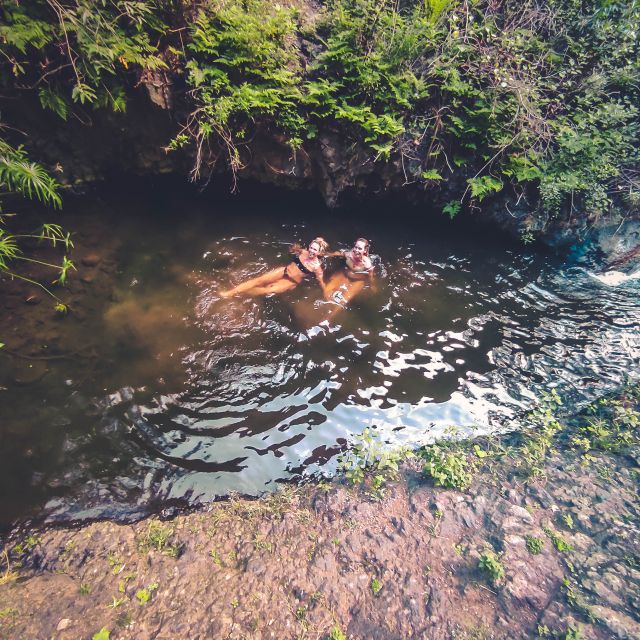 Gran Canaria: Guided Day Tour to Rainforest with Tasting - Relaxing in Volcanic Rock Pools