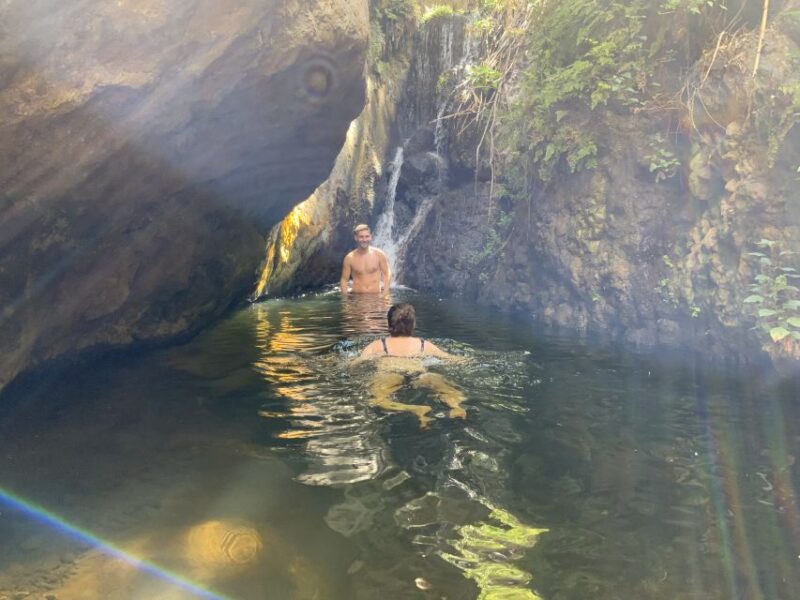 Gran Canaria: Guided Day Tour to Rainforest with Tasting - Logistical Details and Group Size