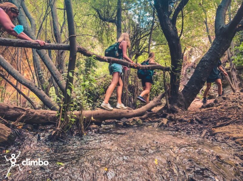 Gran Canaria: Guided Day Tour to Rainforest with Tasting - Physical Requirements and What to Bring