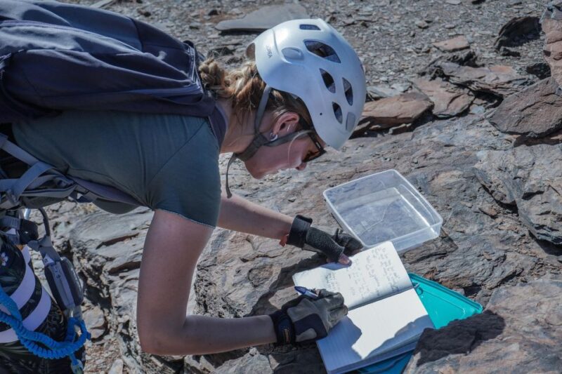 Gran Canaria: Guided Via Ferrata Excursion - What Makes This Guided Via Ferrata Stand Out?
