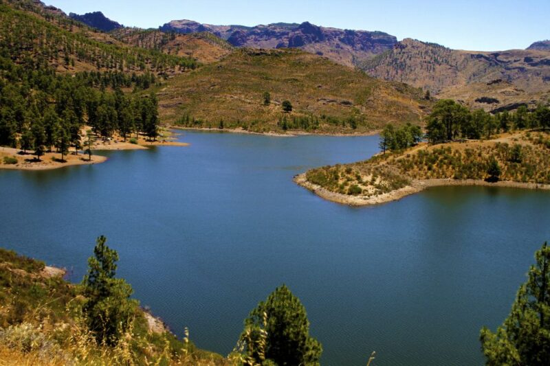 Gran Canaria Highlights Full-Day Tour by Bus - Key Points