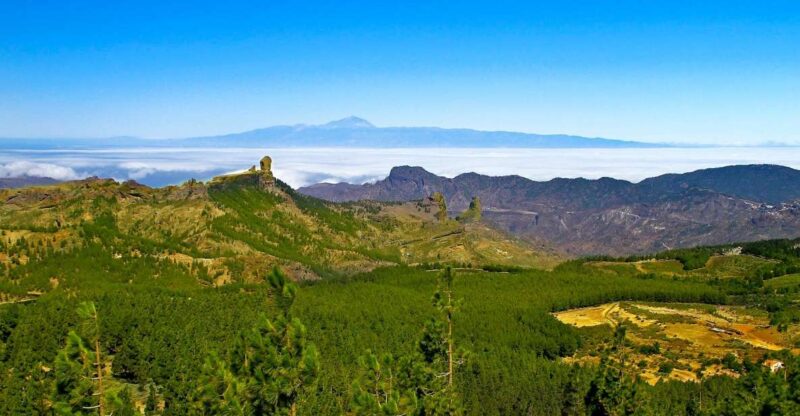 Gran Canaria Highlights Full-Day Tour by Bus - Exploring Gran Canaria’s Green Heart and Quaint Villages