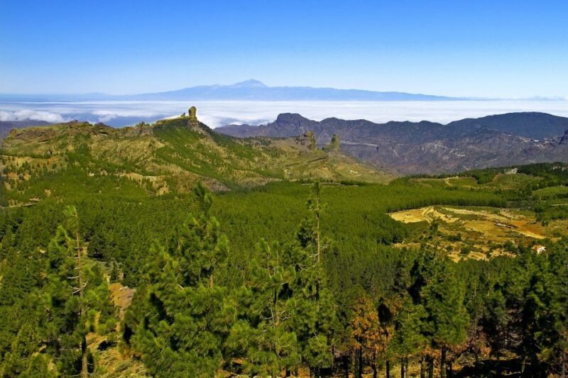 Gran Canaria Highlights Full-Day Tour by Bus - Detailed Itinerary and Notable Stops