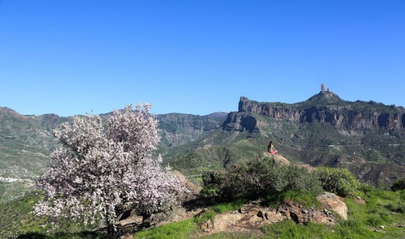 Gran Canaria Highlights Full-Day Tour by Bus - Insights from the Reviews: Guides, Views, and Value