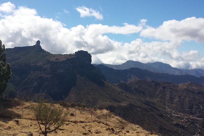 Gran Canaria highlights & hidden gems by 2 native guides - Enjoying the Scenic Drive and Cultural Narratives