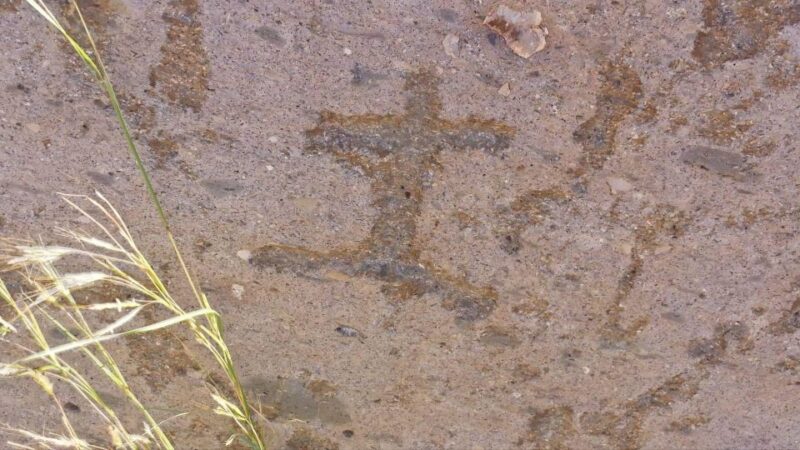 Gran Canaria: Highlights & hidden gems with Sky Rebels - Practical Details: Logistics and Comfort