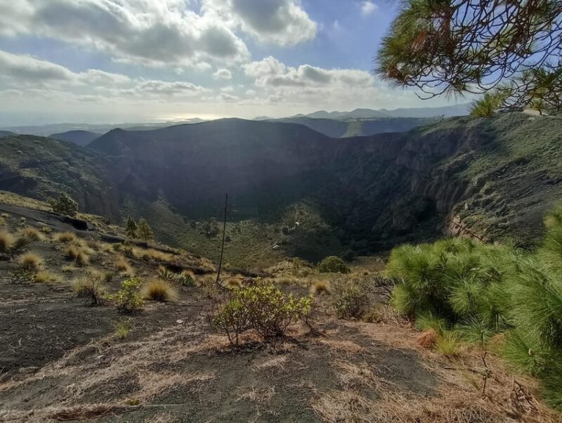 Gran Canaria: Highlights Wine Tasting Tour & shore excursion - Discover Gran Canaria’s Best Highlights with a Half-Day Wine and Cultural Tour