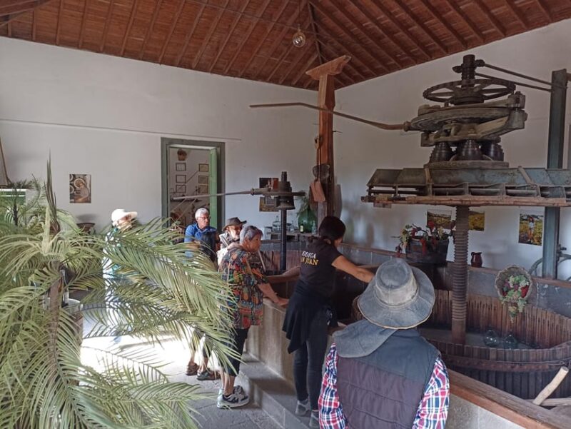 Gran Canaria: Highlights Wine Tasting Tour & shore excursion - Exploring the Caldera de Bandama