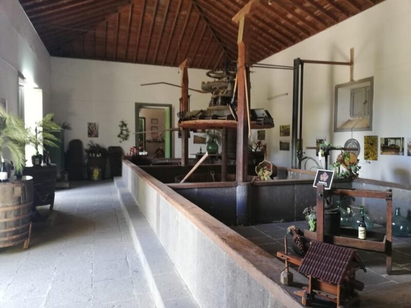 Gran Canaria: Highlights Wine Tasting Tour & shore excursion - Learning About Gran Canaria’s Nature, History, and Culture