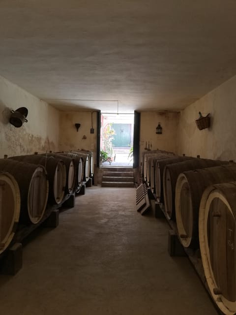 Gran Canaria: Highlights Wine Tasting Tour & shore excursion - The Experience Provider and Booking Options