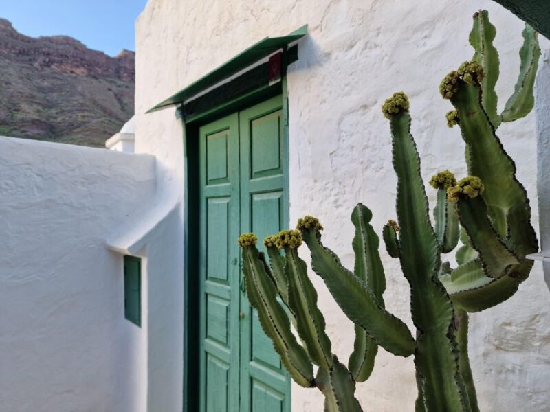 Gran Canaria historical house with mango plantation in Mogan - Optional Lunch or Dinner at Valle de Mogan