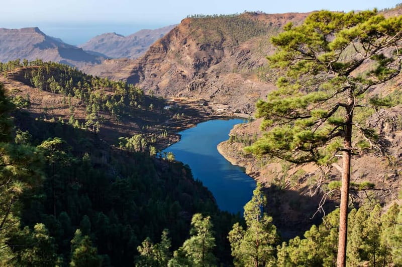 Gran Canaria: Island Highlights Tour with Optional Lunch - Key Points