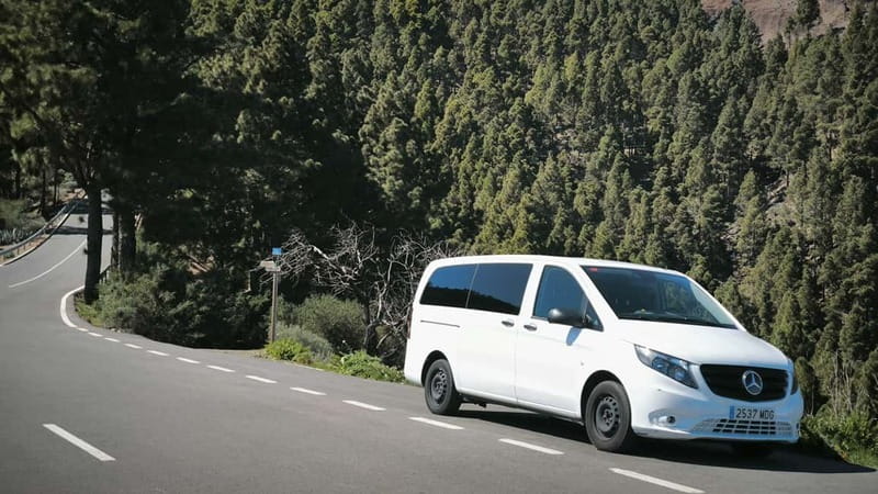 Gran Canaria: Island Highlights Tour with Optional Lunch - Scenic Stops at Cruz De San Antonio and Presa del Mulato