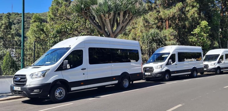 Gran Canaria: Island Highlights Tour with Optional Lunch - The Value of the Gran Canaria Highlights Tour