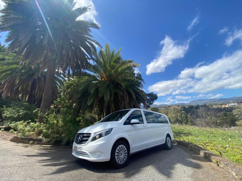 Gran Canaria LET'S GET HIGH!: altitude wines and tapas lunch - Practical Details: Logistics and Group Size