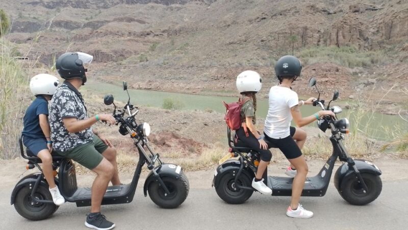 Gran Canaria: Los Pilancones Natural Park e-Scooter Tour - The Downhill Return and Scenic Views