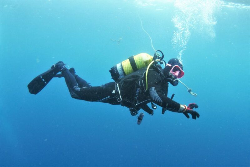 Gran Canaria: Morning Scuba Dive - Gran Canaria: Morning Scuba Dive - A Clear Choice for Certified Divers