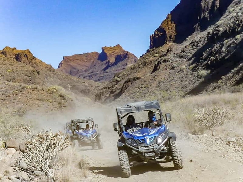 Gran Canaria: Off-Road Buggy Adventure in the Canyons - Logistics and Group Size