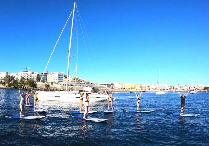 Gran Canaria, paddle board excursion. Hotel pick-up included, 2 hours. - Using State-of-the-Art Paddle Boards and Paddles