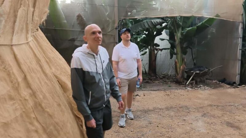 Gran Canaria: Paragliding Flight & Banana Plantation Tour - Scenic drive through banana plantations en route to Guía