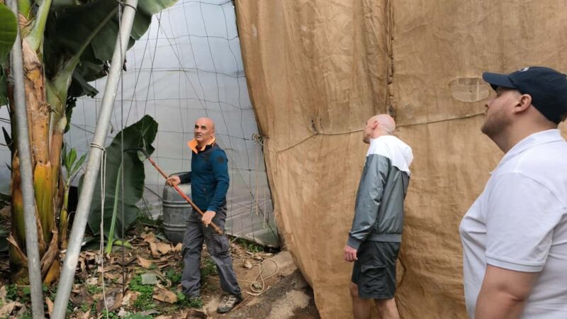 Gran Canaria: Paragliding Flight & Banana Plantation Tour - Practical details: pickup, accessibility, and reservations