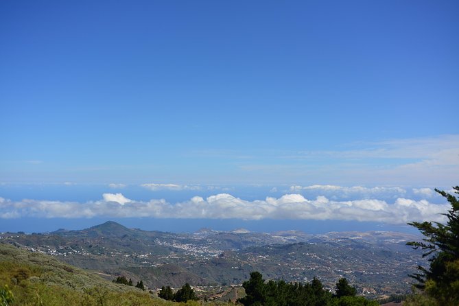 Gran Canaria Peaks Full-Day Tour from Las Palmas - Visiting the Highest Point: Pico de las Nieves