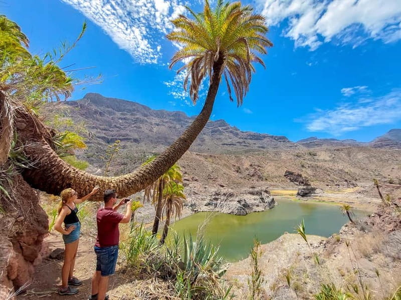 Gran Canaria: Red Gorge, Cave, Oasis Adventure Tour & Picnic - Discovering Aboriginal Caves and Indigenous History