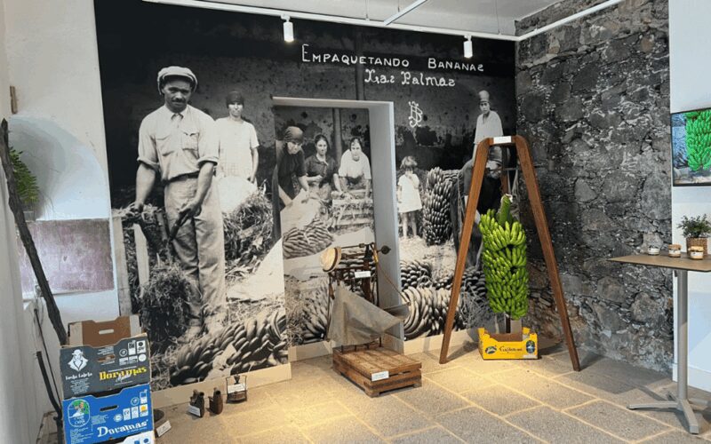 Gran Canaria: Rum, Wines and Banana Tour - The Coffee Experience in Agaete