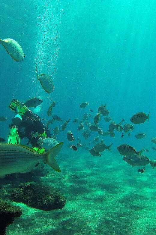 Gran Canaria Scuba Diving: 1-Day 2-Dive Package - Flexibility and Cancellation Policies