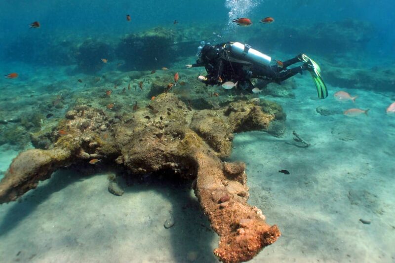 Gran Canaria Scuba Diving: 1-Day 2-Dive Package - Who Should Consider This Tour