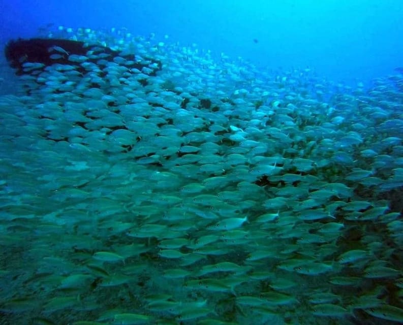 Gran Canaria: Scuba Diving for Beginners - The Friendly and Knowledgeable Instructors
