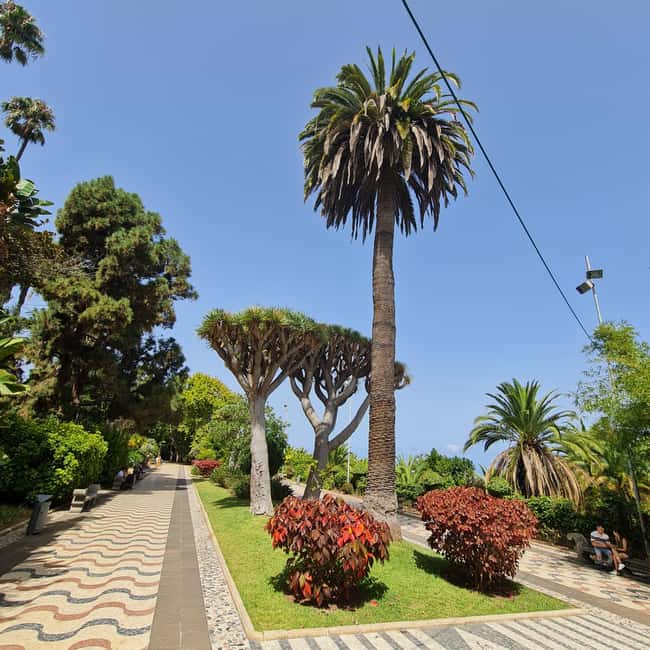 Gran Canaria Shore Excursion Rum Tasting & Scenic Villages - Frequently Asked Questions