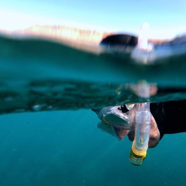 Gran Canaria: Snorkeling Trip - Key Points