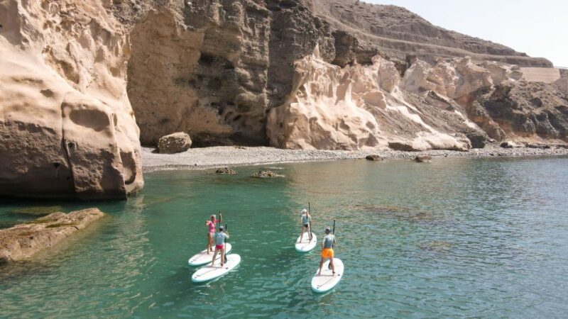 Gran Canaria : Stand Up Paddle (SUP) Tour - Suitability and Physical Requirements