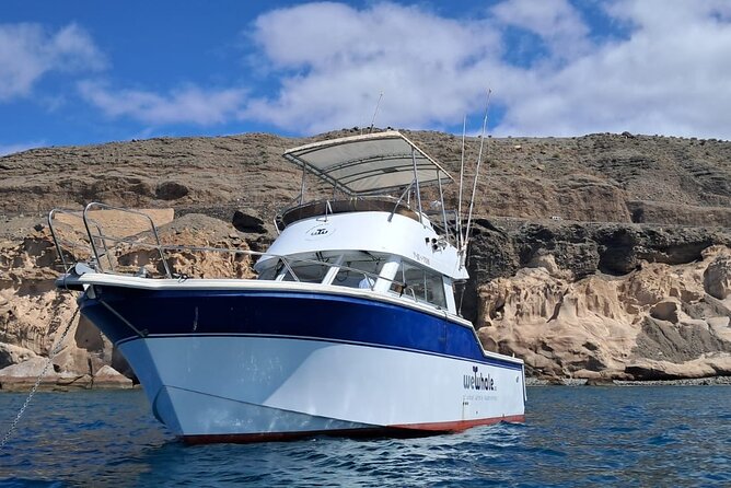 Gran Canaria Sunset Dolphin Watching Activity - Snacks, Drinks, and Marine Conservation Support