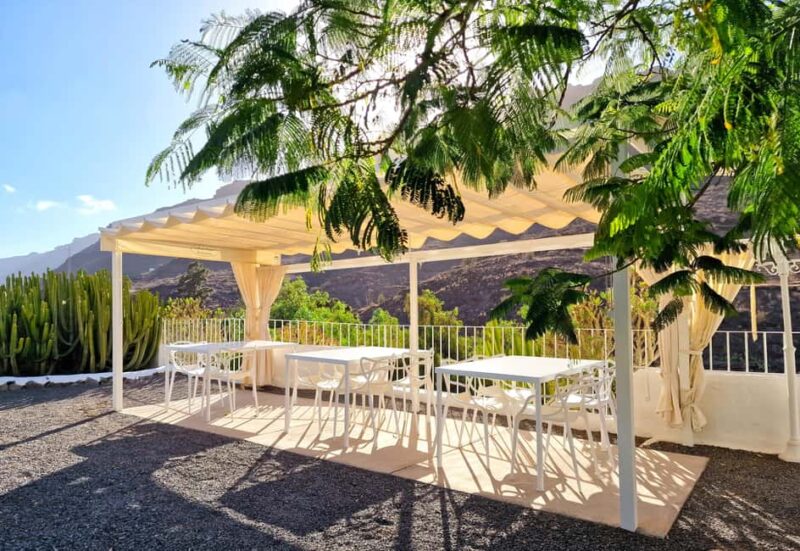 Gran Canaria: Tasting wine & local cheese in Mogan - Canarian Cheese Tasting and Local Flavors