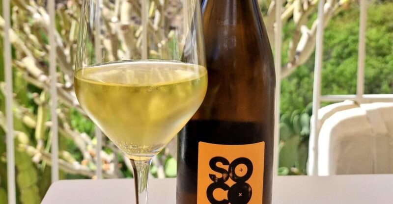 Gran Canaria: Tasting wine & local cheese in Mogan - Accessibility and Practical Details